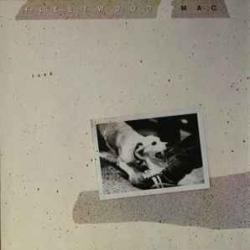 FLEETWOOD MAC TUSK Виниловая пластинка FLEETWOOD MAC TUSK Виниловая пластинка