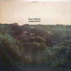 DAVE LIEBMAN LOOKOUT FARM Виниловая пластинка DAVE LIEBMAN LOOKOUT FARM Виниловая пластинка