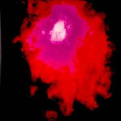 PORCUPINE TREE Up the Downstair Виниловая пластинка 