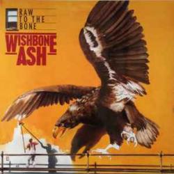 WISHBONE ASH RAW TO THE BONE Виниловая пластинка WISHBONE ASH RAW TO THE BONE Виниловая пластинка