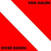 DIVER DOWN