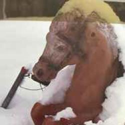 VAN MORRISON VAN MORRISON Виниловая пластинка 