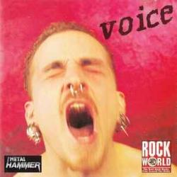 VARIOUS VOICE Фирменный CD 