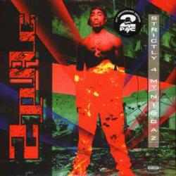 2PAC STRICTLY 4 MY N.I.G.G.A.Z... Виниловая пластинка 