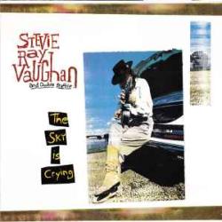 STEVIE RAY VAUGHAN SKY IS CRYING Виниловая пластинка STEVIE RAY VAUGHAN SKY IS CRYING Виниловая пластинка