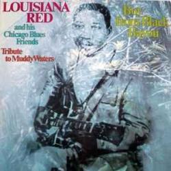 LOUISIANA RED BOY FROM BLACK BAYOU Виниловая пластинка LOUISIANA RED BOY FROM BLACK BAYOU Виниловая пластинка