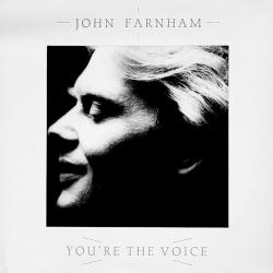 JOHN FARNHAM YOU'RE THE VOICE Виниловая пластинка 