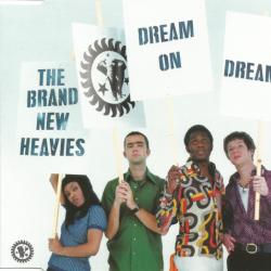 BRAND NEW HEAVIES Dream On Dreamer Фирменный CD 