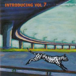 VARIOUS Introducing Vol 7 Фирменный CD 