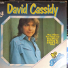 BELL GREATS DAVID CASSIDY