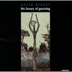 David Binney The Luxury Of Guessing Фирменный CD 