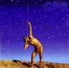 CPR