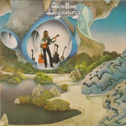 STEVE HOWE BEGINNINGS Виниловая пластинка 