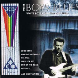 VARIOUS White Boys Blues (White Boys Can Play The Blues) Фирменный CD 