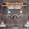 HORN & ORGEL