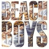 THE BEACH BOYS THE BEACH BOYS