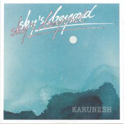 KARUNESH SKY'S BEYOND Фирменный CD 
