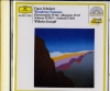 Wanderer-Fantasie Klavierstucke D946; Allegretto D915; Scherzo D593/1; Andante D604