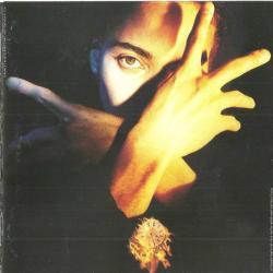 TERENCE TRENT D'ARBY Terence Trent D'Arby's Neither Fish Nor Flesh: A Soundtrack Of Love, Faith, Hope, And Destruction Фирменный CD 