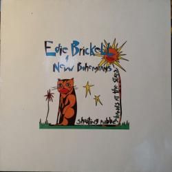 EDIE BRICKELL & NEW BOHEMIANS SHOOTING RUBBERBANDS AT THE STARS Виниловая пластинка 