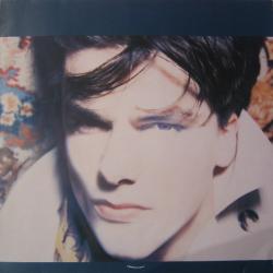 BLOW MONKEYS SHE WAS ONLY A GROCER'S DAUGHTER Виниловая пластинка 