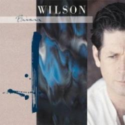 BRIAN WILSON Brian Wilson Фирменный CD 
