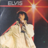 YOU'LL NEVER WALK ALONE